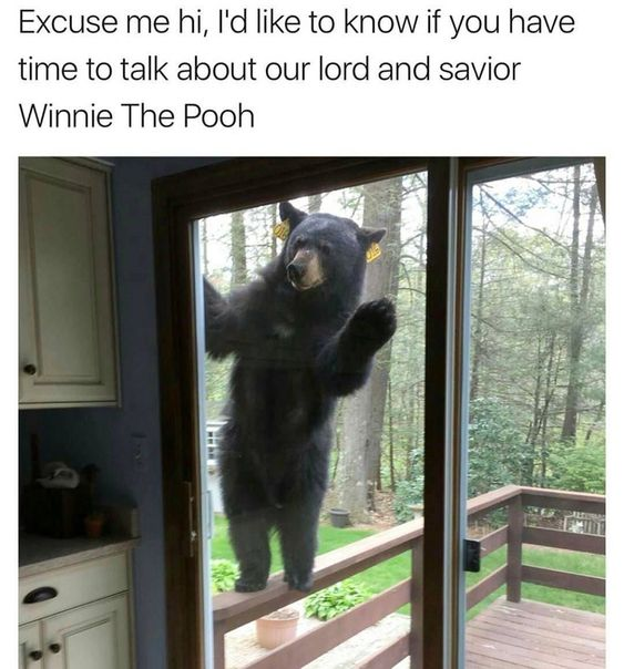 This meme combines a real photograph of a large black bear standing upright, pressing its paws against a residential sliding glass door and looking inside, with a humorous text overlay at the top. The text parodies the classic door-to-door missionary pitch: *"Excuse me hi, I'd like to know if you have time to talk about our lord and savior Winnie The Pooh"*. The joke relies on absurd wordplay and subversion: it takes the familiar trope of religious missionaries approaching homes to discuss their faith, and replaces the revered religious figure with the beloved children's character Winnie the Pooh, while framing the real bear as the one making the pitch. The bear's earnest, curious posture and expression enhance the comedy, making it appear as though it's genuinely there to "evangelize" about Winnie the Pooh. This creates a silly, wholesome absurdity that resonates with audiences familiar with both the missionary trope and Winnie the Pooh.