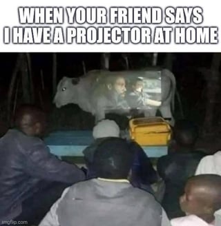 This meme uses absurd visual humor to joke about a friend's underwhelming 'projector setup'. The top text reads **WHEN YOUR FRIEND SAYS I HAVE A PROJECTOR AT HOME**, paired with an edited image of a group of real people sitting outdoors, gathered to watch a video projected onto the side of a live cow's body instead of a proper screen or wall. The joke subverts the expectation of a normal, functional projector setup, leaning into the absurdity of using a cow as an impromptu projection surface, mocking the idea of a friend making a claim that sounds exciting but delivers a ridiculous, low-effort alternative.
