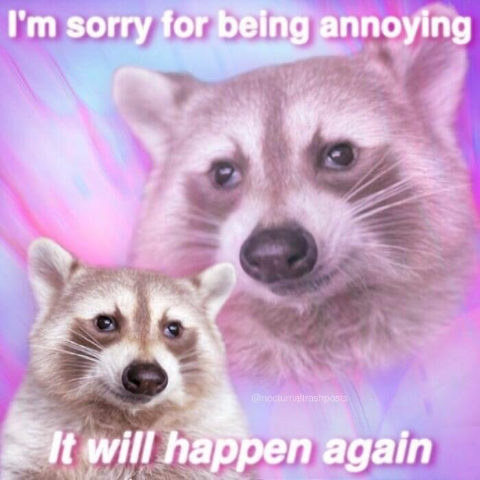 This meme features two sad, guilty-looking raccoons set against a soft, wavy pastel pink and purple background. A larger semi-transparent raccoon face is placed in the upper half of the image, with the text 'I'm sorry for being annoying' written in white rounded font above it. A smaller, fully opaque raccoon face is placed in the lower left, with the text 'It will happen again' in the same white rounded font below it. The humor comes from the intentionally insincere apology: the speaker admits to being annoying and apologizes, but openly states they will repeat the annoying behavior, which is relatable for playful, lighthearted teasing between friends, family or romantic partners.