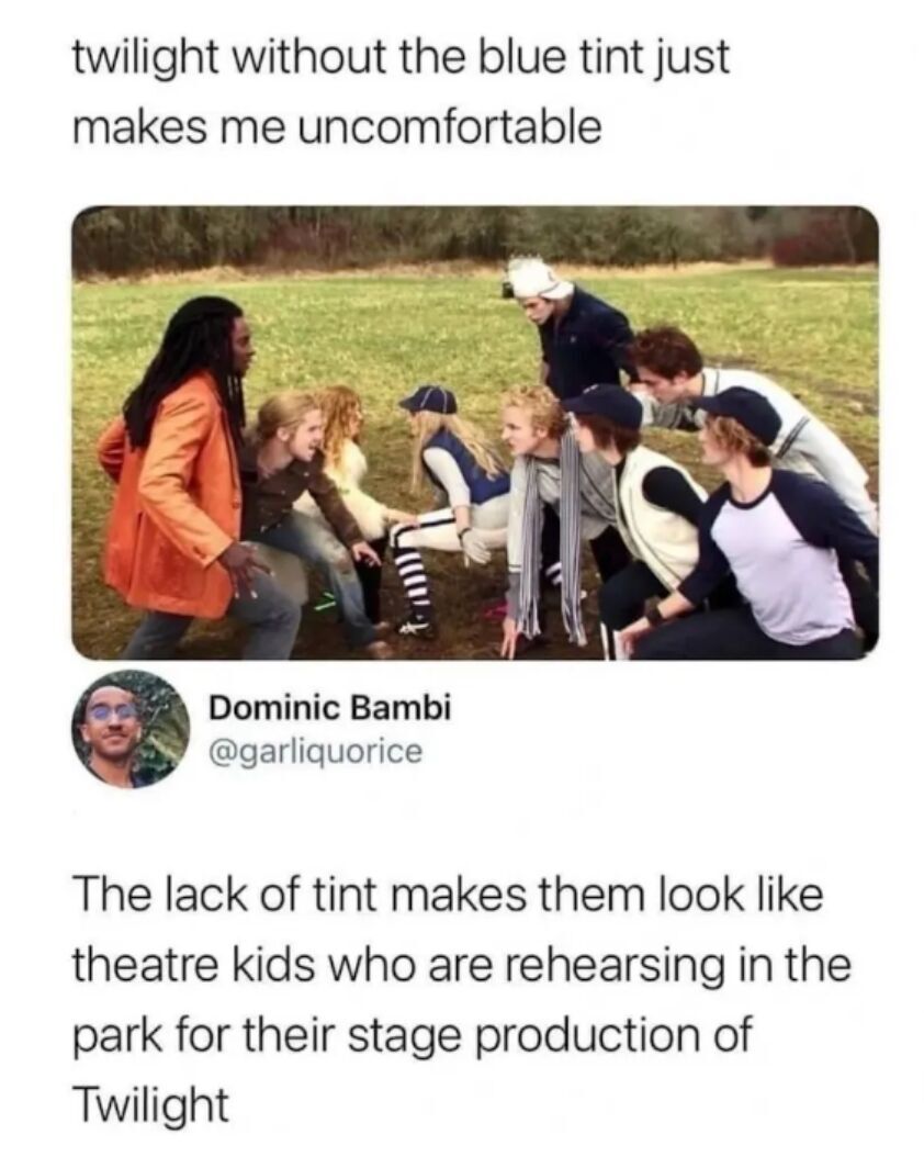 This meme uses a still from the famous baseball scene in the 2008 *Twilight* film, shown without the franchise's signature heavy cool blue color grading that is a core part of its visual identity. The top text states that seeing *Twilight* without this blue tint makes the viewer uncomfortable. Below the image is a reply tweet that jokes the ungraded scene looks like a group of theater kids rehearsing for an amateur stage production of *Twilight* in a park. The humor stems from how integral the blue filter is to the *Twilight* aesthetic, that removing it makes the professional Hollywood scene look low-budget and unpolished.