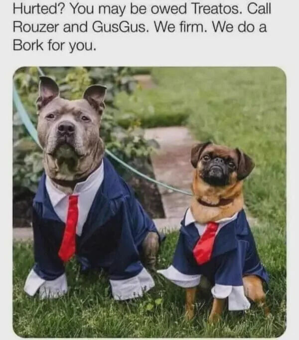 The image features two dogs dressed in formal blue suits with white collars and red ties, sitting on a grassy area with a garden path visible in the background. The larger dog, possibly a pit bull mix, sits on the left, while the smaller dog, possibly a pug mix, sits on the right. Above the dogs, there is a humorous text mimicking a legal advertisement: 'Hurted? You may be owed Treatos. Call Rouzer and GusGus. We firm. We do a Bork for you.' The text uses dog-related terminology ('Treatos' instead of 'treats,' 'Bork' as a playful term for a dog bark) to parody legal service ads, creating a wholesome and funny tone.