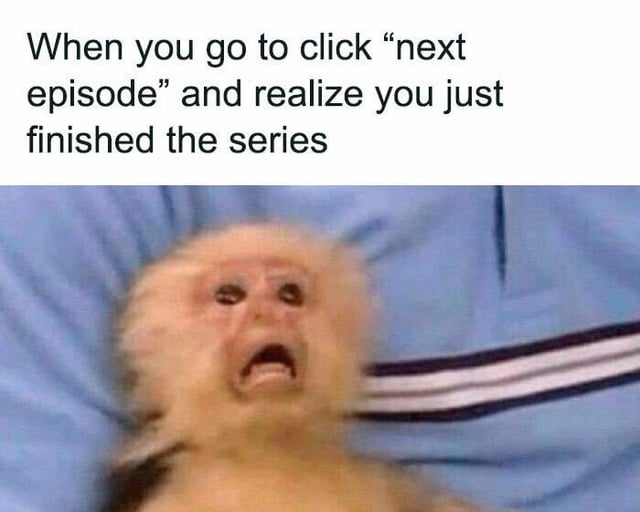 A meme composed of two sections: the top section contains white text on a plain background that reads, 'When you go to click "next episode" and realize you just finished the series.' The bottom section is a photograph of a real monkey lying on a blue surface with white horizontal stripes, displaying a shocked and distressed expression with its mouth open and eyes wide, humorously capturing the feeling of disappointment or surprise when a favorite TV series ends.