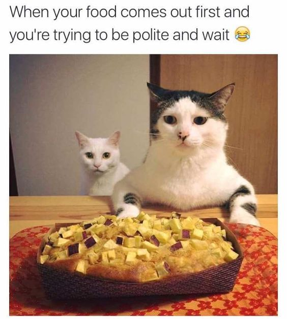 This meme features two domestic cats positioned at a wooden table with a large, filled dish of food (topped with diced yellow and purple ingredients) placed in front of them. The larger, tabby-and-white cat in the foreground leans over the table, wide-eyed and tense, its posture and expression conveying intense struggle to resist eating immediately. Behind it, a smaller white cat sits, looking on with a curious, waiting gaze. The top text overlay reads: "When your food comes out first and you're trying to be polite and wait 😂". The humor stems from the relatable human experience of forcing oneself to be polite and wait for others to receive their food despite being hungry, with the cats' exaggerated, human-like expressions perfectly capturing that internal conflict between good manners and craving the meal.
