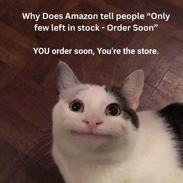 This is a single-panel meme using the popular viral smug polite cat, a white cat with gray patches, wide eyes, and a closed knowing smile, looking directly at the viewer against a dark wooden parquet floor background. The overlaid text makes a sarcastic joke about Amazon's common marketing tactic of showing users 'Only few left in stock - Order Soon' prompts to create purchase urgency: the punchline states that Amazon itself is the store, so Amazon is the party that needs to order more stock soon, mocking the often disingenuous low stock alerts that pressure customers into immediate purchases even if stock is not actually running low.
