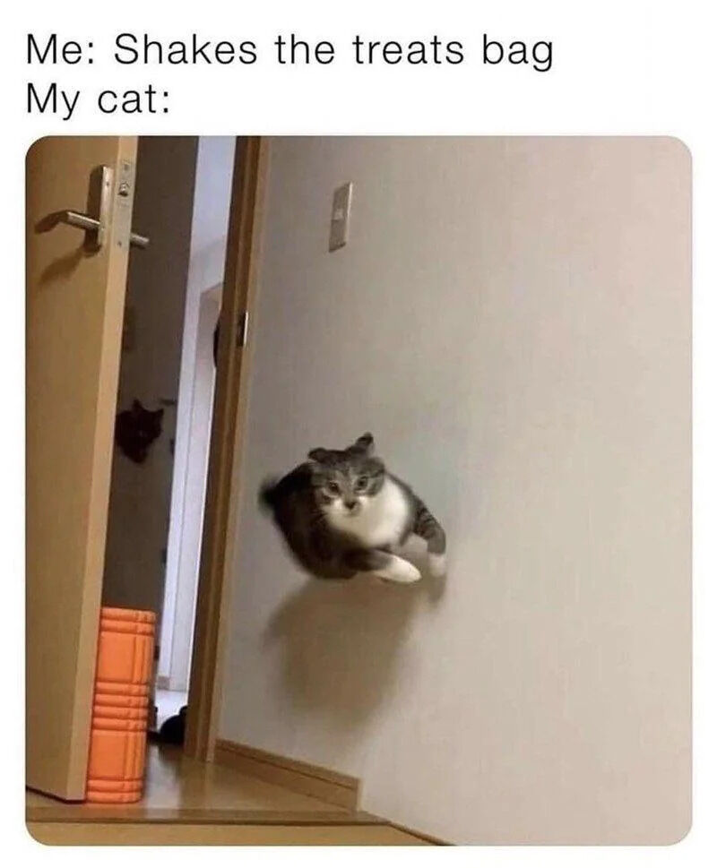 A meme consisting of two parts: top text and a photograph. The top text reads 'Me: Shakes the treats bag' followed by 'My cat:'. Below the text is a photograph of a gray and white cat captured mid-air, seemingly leaping dramatically towards the camera in a hallway. The hallway features a partially open wooden door, a light-colored wall with a power outlet, and an orange cylindrical container on the floor near the door. The cat's expression is alert and focused, with its body extended in a jump, emphasizing the urgency and excitement of responding to the sound of the treats bag being shaken.