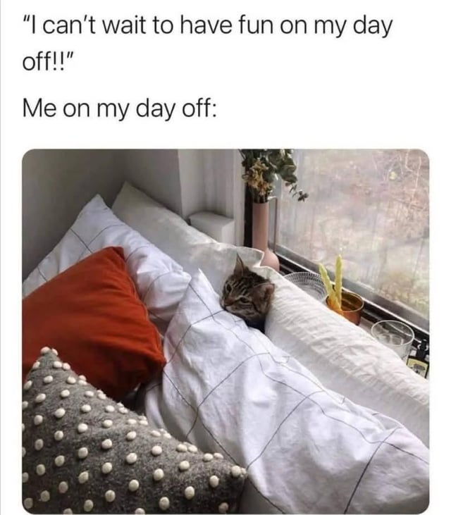 This is a relatable expectation vs reality meme about days off. The top text shows the excited expectation: "I can't wait to have fun on my day off!!", then introduces what the creator actually does on their day off with the line "Me on my day off:". The accompanying image shows a real tabby cat curled up snugly between pillows on a bed by a window, lazily lounging without moving, perfectly representing how most people actually end up spending their day off resting in bed instead of going out to have fun. The joke plays on the common experience of being too tired from work or school to do planned fun activities and just choosing to relax at home instead.