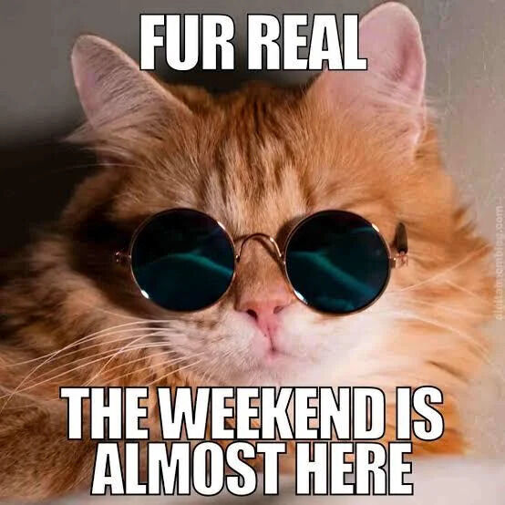 An orange cat with fluffy fur is depicted lying down, wearing round dark sunglasses that give it a cool, laid-back appearance. The cat's expression is relaxed and content. At the top of the image, bold white text reads 'FUR REAL' (a pun on 'for real'), and at the bottom, larger bold white text states 'THE WEEKEND IS ALMOST HERE'. The combination of the cat's sunglasses, the pun, and the text conveys excitement and anticipation for the upcoming weekend, creating a lighthearted and relatable meme.