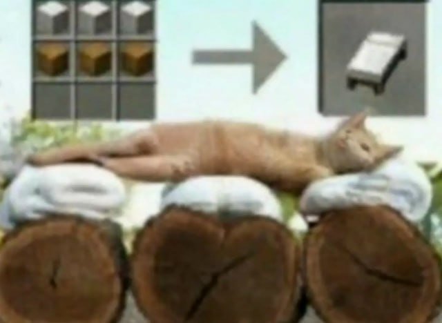 The image features an absurdly edited, unnaturally elongated orange cat stretched out horizontally across three separate log stools, each topped with a white cushion. The cat appears relaxed, with its head resting on the rightmost cushion. In the background, a light-colored building wall is visible, with a grid-paned window on the left, a grey right-pointing arrow in the center, and a small grey inset graphic of a bench on the right. The core visual joke is the surreal, impossible length of the cat, creating a silly, humorous optical illusion effect.