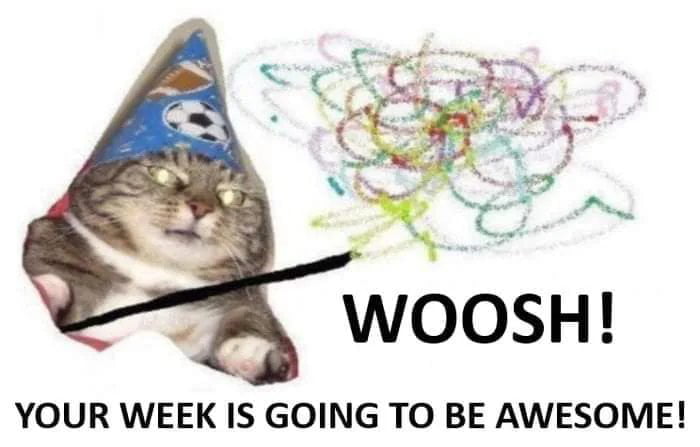 This is a silly wholesome single-panel photo edit meme. It features a tabby cat wearing a blue party hat printed with a soccer ball, edited to look like a wizard hat. The cat is paired with a crudely drawn black magic wand held in its paw, with colorful scribbled sparkles coming out of the wand end next to the onomatopoeic text 'WOOSH!'. The bottom of the image has text that reads 'YOUR WEEK IS GOING TO BE AWESOME!', meant as a lighthearted positive wish for the viewer's upcoming week.