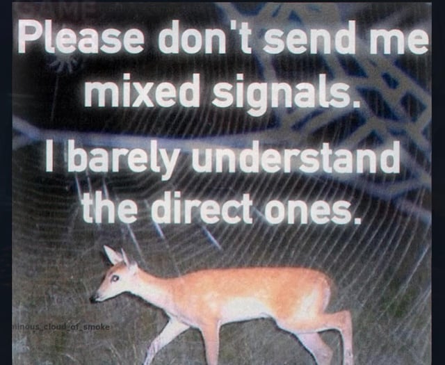 The meme features a dazed, disoriented-looking deer standing in the lower portion of the frame, set against a dark, blurry background with a faint web-like line pattern. Overlaid in large, white, bold text across the upper two-thirds of the image are the lines: 'Please don't send me mixed signals. I barely understand the direct ones.' The joke is self-deprecating and relatable, playing on the common experience of struggling to interpret even clear, direct communication, making the request to avoid ambiguous mixed signals humorous.