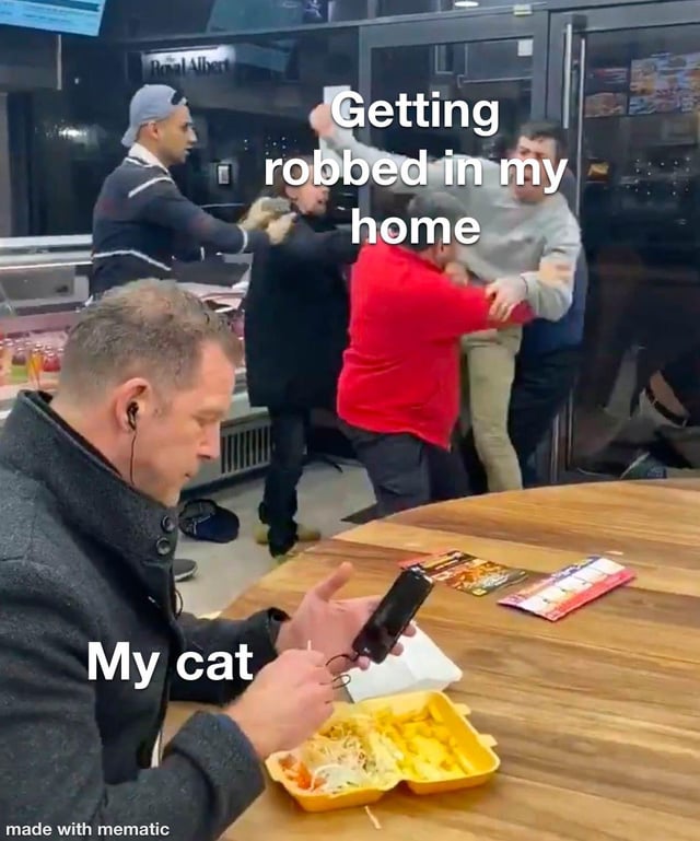 A meme image depicting a man sitting at a wooden table in a food establishment, wearing a dark coat and earphones, focused on his phone and a yellow takeout container of food (noodles and vegetables). Behind him, three people are engaged in a chaotic physical altercation: one in a red jacket grapples with another in a gray sweater, while a third person in a dark jacket appears to intervene. Overlaid text humorously contrasts the two scenes: 'My cat' is placed above the indifferent man, and 'Getting robbed in my home' above the fighting group, personifying a cat's typical indifference to household chaos. The bottom of the image has a 'made with mematic' watermark.