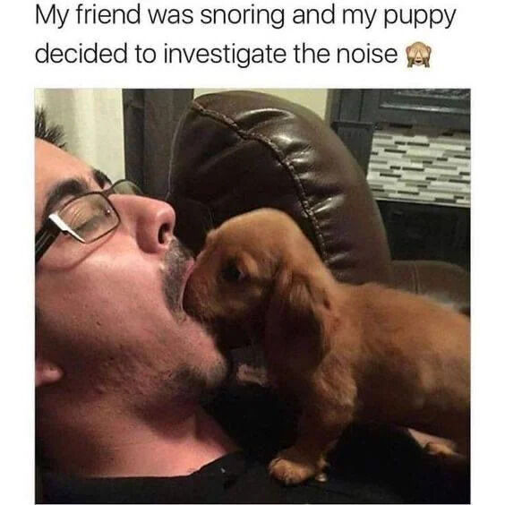 The image consists of a top text overlay and a photograph. The text reads: 'My friend was snoring and my puppy decided to investigate the noise 🐶'. Below the text is a candid photograph showing a man lying on a brown leather couch, eyes closed, wearing glasses, and appearing to be asleep or resting. A small brown puppy, possibly a dachshund, is standing on the man's chest, leaning forward to lick his face, likely in response to the snoring noise mentioned in the text. The scene captures a wholesome, cute moment of a pet's curious reaction to a human's behavior.