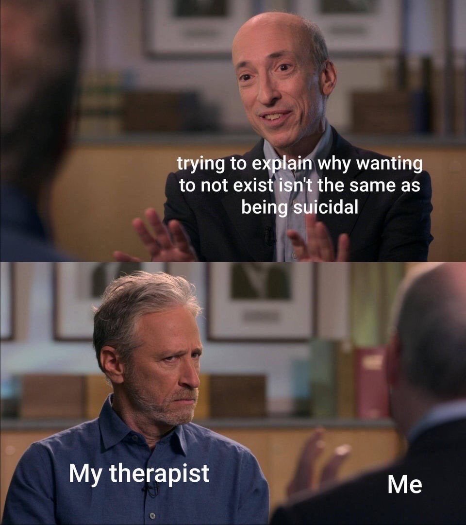 This is a two-panel reaction meme. The top panel features Gary Gensler, labeled as 'Me', holding his hands up while speaking, with overlaid text that reads 'trying to explain why wanting to not exist isn't the same as being suicidal'. The bottom panel shows Jon Stewart, labeled as 'My therapist', looking skeptically and unimpressed at the speaker. The joke captures the relatable, often frustrating experience of attempting to explain nuanced existential apathy or passive disinterest in existing that does not rise to active suicidal intent to mental health care providers who misinterpret the sentiment.