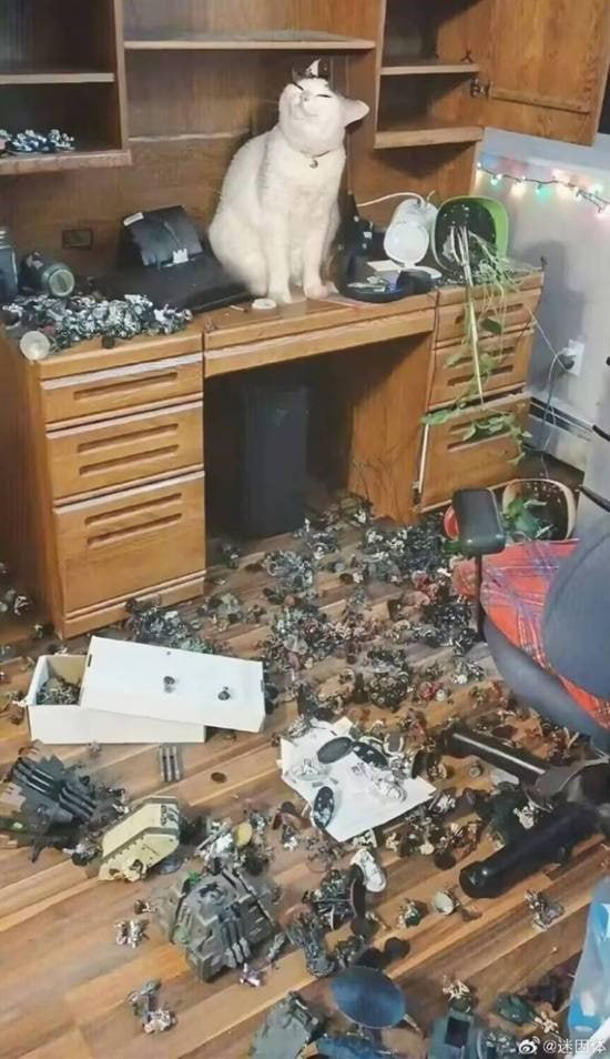 A white cat sits calmly and seemingly smugly on a cluttered wooden desk, with an extensive mess of small toys, figurines, and scattered items covering both the desk surface and the floor below. The cat's relaxed posture and unbothered expression contrast humorously with the chaotic disarray surrounding it, suggesting it is the likely culprit behind the mess. The scene is set in a room with a wooden cabinet in the background, adding to the domestic setting.