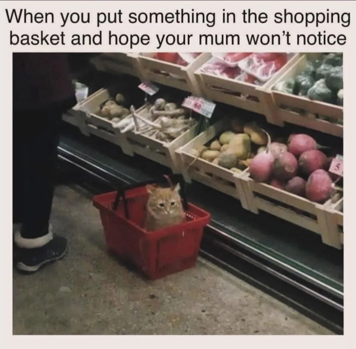 A humorous and wholesome meme featuring a real photograph of a small orange cat sitting inside a red shopping basket in a grocery store. The cat has a calm yet cautious expression, positioned near produce shelves filled with vegetables like potatoes and radishes. A person's legs (likely an adult, possibly the 'mum' referenced) are visible next to the basket. The top text overlay reads: 'When you put something in the shopping basket and hope your mum won't notice', creating a relatable joke by anthropomorphizing the cat as a child sneaking an item past a parent during shopping.