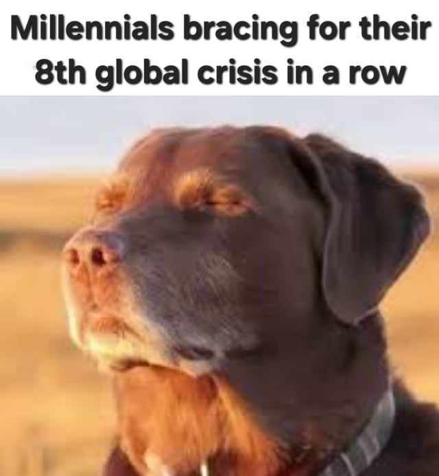 A meme featuring a close-up of a brown (chocolate) Labrador retriever with its eyes closed, appearing calm or resigned, set against a golden field background. The top text reads 'Millennials bracing for their 8th global crisis in a row,' using self-deprecating humor to comment on the perceived frequency of global crises faced by the Millennial generation.