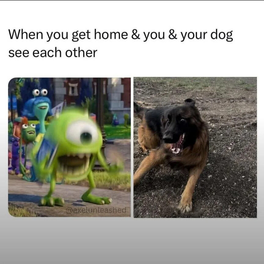 A meme featuring a side-by-side comparison of two excited reactions. The top text reads 'When you get home & you & your dog see each other'. On the left is an animated scene from Pixar's 'Monsters, Inc.' showing Mike Wazowski, a small green one-eyed monster, running excitedly with an open mouth and outstretched arms. On the right is a photograph of a German Shepherd dog on a dirt ground, displaying an equally enthusiastic reaction with its mouth open, tongue visible, and body posture suggesting eagerness to approach. The collage humorously parallels the animated character's and real dog's joyful excitement upon reuniting.