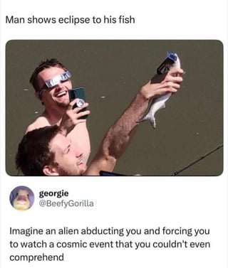 This is a screenshot of a viral social media meme. The top text above the photo reads 'Man shows eclipse to his fish'. The photo depicts two shirtless men near a body of water: one man wears solar eclipse glasses, holds a phone and laughs, while the second man holds up a fish that has a tiny pair of solar eclipse glasses placed on its face, angling it towards the sky to view the solar eclipse. Below the photo, a comment from X/Twitter user @BeefyGorilla (username georgie) reads 'Imagine an alien abducting you and forcing you to watch a cosmic event that you couldn't even comprehend'. The joke draws a humorous parallel between the man forcing the fish to participate in an eclipse viewing it cannot understand, and a hypothetical alien abduction scenario where humans are subjected to an incomprehensible cosmic event, playing on the associated caption that the fish did not consent to the activity.