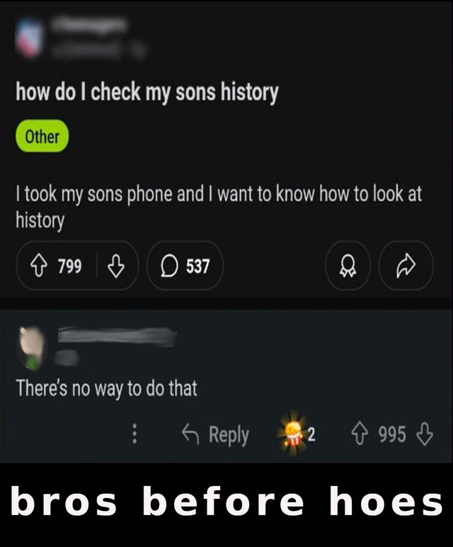 A screenshot meme depicting a social media post where a parent inquires about checking their son's phone history after taking the device, with the text: 'how do I check my sons history' and 'I took my sons phone and I want to know how to look at history.' The post has 799 upvotes and 537 comments. Below, a reply states 'There's no way to do that' with 995 upvotes, indicating strong community agreement. The bottom of the image features the text 'bros before hoes,' emphasizing the 'bro code' of prioritizing friendship loyalty over parental oversight of the son's privacy.