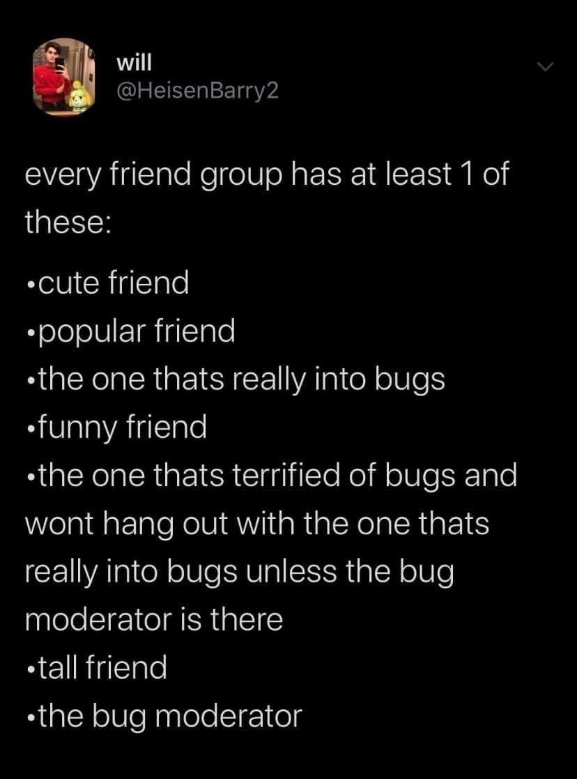 This image is a screenshot of a humorous X (formerly Twitter) tweet. It uses the common relatable premise that every friend group includes at least one of each listed archetype, starting with widely recognizable types: cute friend, popular friend, funny friend, and tall friend. The joke comes from the sudden addition of extremely specific, absurd bug-related archetypes: a friend obsessed with bugs, a friend terrified of bugs who refuses to be around the bug-obsessed friend unless a 'bug moderator' is present, and finally the bug moderator themselves that resolves the fictional conflict between the two bug-opinionated friends. The humor derives from the abrupt shift from relatable common tropes to entirely made-up, hyper-specific niche roles.