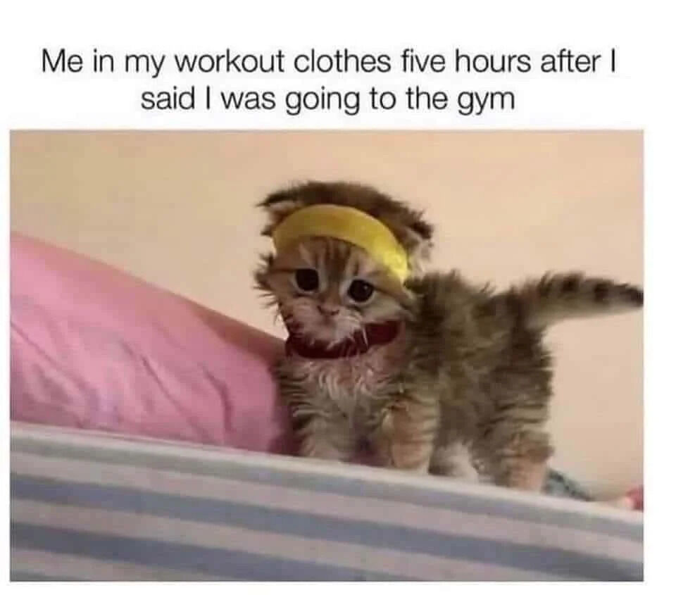 The image features a small, fluffy kitten with a yellow headband (resembling a sweatband) and a red collar, positioned on a bed with a pink pillow and striped bedspread. Above the kitten, there is a text overlay that reads: 'Me in my workout clothes five hours after I said I was going to the gym.' The kitten’s tired, unmotivated expression and relaxed posture humorously personify the relatable scenario of procrastinating a gym session, where one puts on workout clothes but ends up lounging instead of exercising.