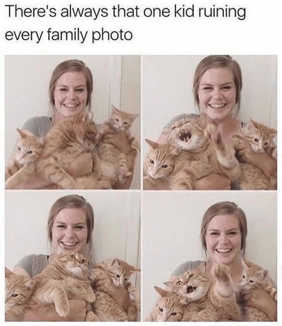 A four-panel collage meme featuring a woman smiling while holding multiple orange cats. The top text reads 'There's always that one kid ruining every family photo,' humorously subverting the common trope of a mischievous child disrupting family photos by replacing the 'kid' with a playful cat. Each panel shows the woman with the cats: in the first, the cats appear calm; in the second, one cat yawns widely with its mouth open; in the third, a cat looks up playfully; and in the fourth, a cat raises a paw as if waving or swatting. The woman maintains a consistent smile throughout, emphasizing the wholesome and lighthearted nature of the meme as the cats take on the role of the 'ruiner' in a cute, non-disruptive way.