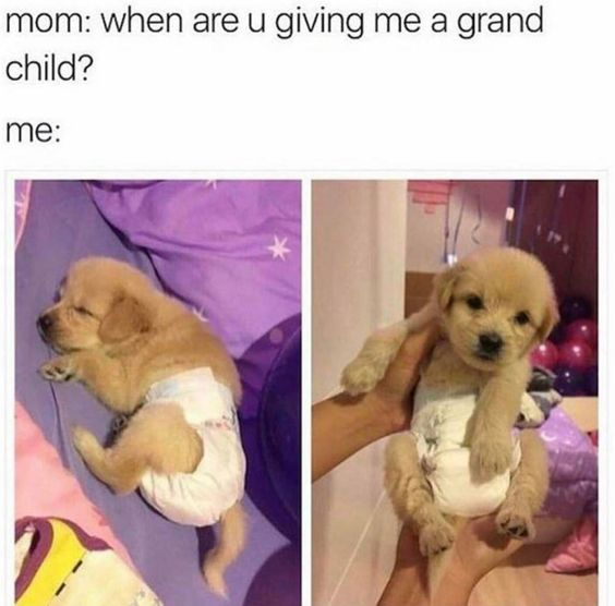 This is a two-panel relatable wholesome meme. At the top, text shows a mother asking the poster: 'when are u giving me a grand child?, followed by 'me:' introducing the poster's response. The two images below show a fluffy golden retriever puppy wearing a human baby diaper: the first panel shows the puppy lying down on a bed, the second panel shows the puppy being held up like an infant by a person. The joke is that the poster considers their pet dog their child, so this dressed-up puppy is the 'grandchild' their mother asked for.
