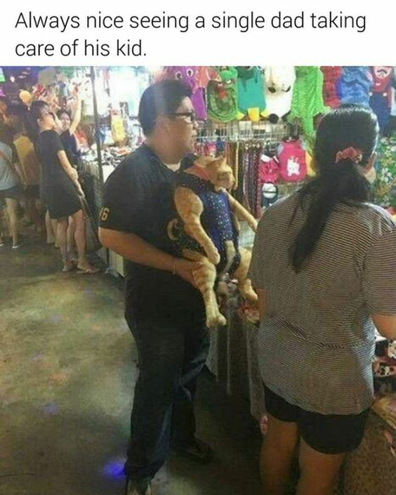 This meme is a humorous, wholesome visual joke set in a busy outdoor night market. A man is standing at a merchandise stall, holding an orange cat that's secured in a blue baby carrier designed for a human child, making the cat appear as if it's his young kid. The top text overlay reads 'Always nice seeing a single dad taking care of his kid.' The core joke is a playful pun/visual double meaning: the cat is being treated like a human child, so the caption plays on the term 'kid' to refer to the pet as the man's 'fur kid' instead of a human child. The background shows other shoppers browsing colorful clothing and goods, creating a casual, everyday atmosphere that enhances the relatable, lighthearted humor of the scene.