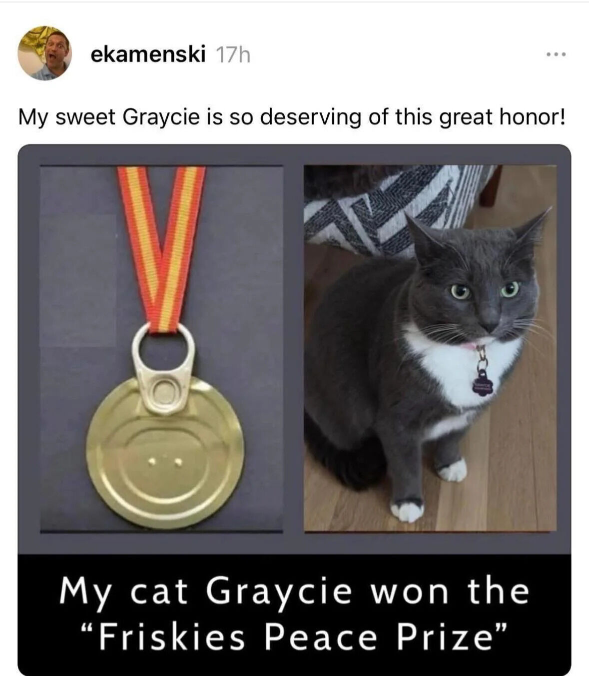 A social media post by user 'ekamenski' celebrating their cat Graycie receiving a 'great honor'. The post includes two images: on the left, a makeshift medal crafted from a can lid with a simple smiley face design and an orange-yellow ribbon; on the right, a gray and white cat (Graycie) with a collar and tag, sitting on a wooden floor and looking directly at the camera with a curious expression. The text above the images expresses pride in Graycie's 'deserving' honor, creating a humorous and wholesome tone by framing a homemade can lid medal as a prestigious award.