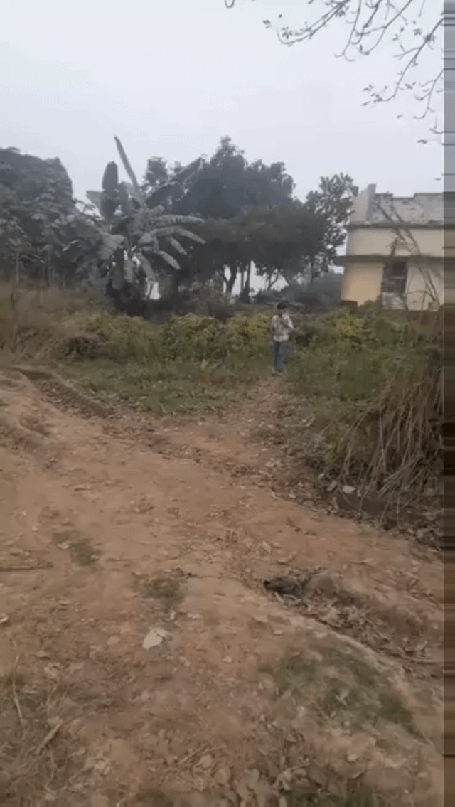 A photograph of a rural scene featuring a dirt path winding through vegetation with a person standing in the middle distance facing away from the camera. The scene includes various trees, bushes, and a small building visible on the right side under an overcast sky.
