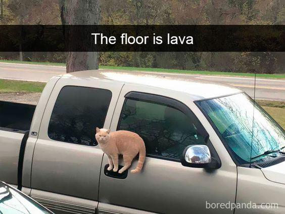A photograph of an orange cat sitting on the exterior door handle of a silver pickup truck. The cat appears to be playfully avoiding the ground, referencing the childhood game 'The floor is lava.' The text 'The floor is lava' is displayed at the top of the image. The background includes a tree and a road, indicating an outdoor setting. A watermark 'boredpanda.com' is visible at the bottom right corner.