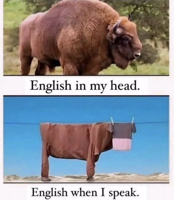 This is a two-panel expectation vs reality meme poking fun at the experience of learning English as a second language. The top panel features a large, intact, healthy wild bison (buffalo) standing in a grassy, tree-filled natural landscape, captioned 'English in my head.' to represent how fluent, polished, and complete non-native speakers feel their English ability is when they are thinking internally. The bottom panel shows a low-effort, poorly constructed fake buffalo made from brown fabric draped to form a body, with a t-shirt clipped to a clothesline making up its head, set against a snowy mountain and clear blue sky background. It is captioned 'English when I speak.' to represent how awkward, broken, and jumbled speakers feel their English is when they attempt to speak it out loud.