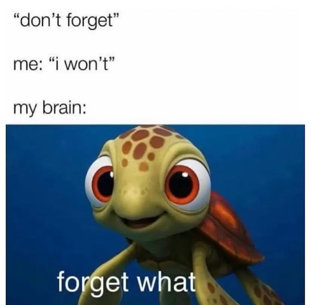 A meme depicting the common experience of forgetfulness. The top text shows a conversation where someone is told 'don't forget,' responds 'i won't,' followed by 'my brain:' with an image of Squirt the turtle from Finding Nemo looking confused and the text 'forget what' at the bottom, humorously illustrating how quickly the brain can forget what it was supposed to remember.