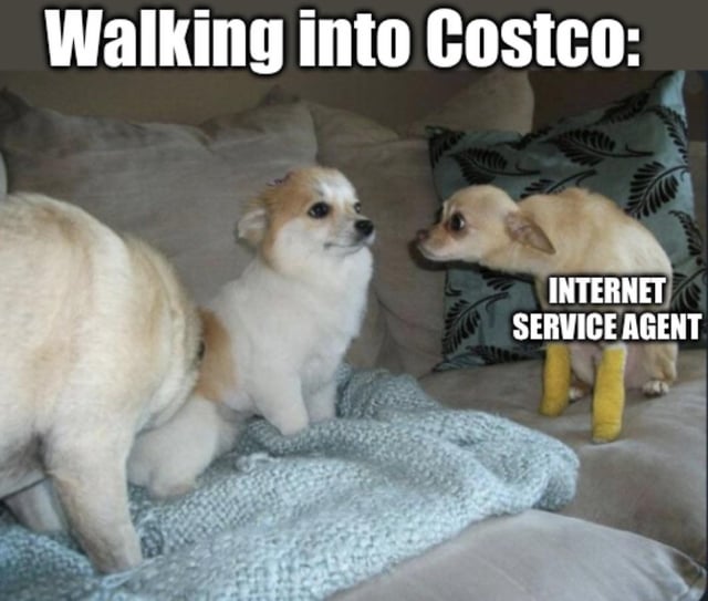 This is a single-panel relatable meme featuring three small dogs sitting on a soft couch with decorative pillows in the background. The top of the meme has text reading 'Walking into Costco:'. The small chihuahua on the right side of the image has bright yellow casts on its two front legs, is leaning forward intently towards the other two dogs, and is labeled 'INTERNET SERVICE AGENT'. The two dogs on the left represent a customer entering Costco, who is uninterested in being approached by salespeople. The joke references the common real-life experience of being accosted by internet service sales staff immediately upon entering Costco locations, when most shoppers are only intending to purchase grocery items like Costco's famous low-cost rotisserie chicken, which the original title refers to.