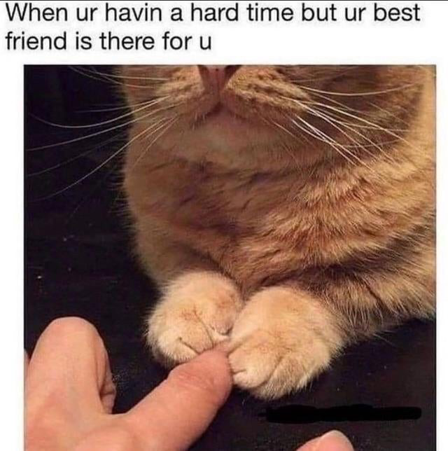 This meme contains a top text caption and a close-up photograph below. The top text reads 'When ur havin a hard time but ur best friend is there for u'. The photo shows the lower face, neck, and front paws of an orange tabby cat gently holding the tip of a human finger between its two paws, as if offering a comforting, supportive gesture. The content wholesomely and relatable personifies the pet cat as a caring best friend that provides small, meaningful comfort to someone going through a difficult period, resonating heavily with people who get emotional support from their pets.