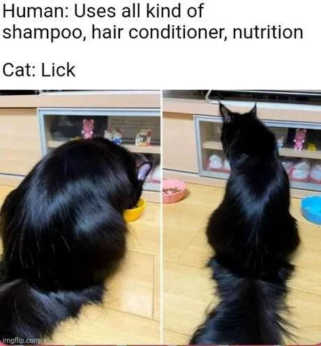 This is a two-panel humorous meme playing on a forced perspective optical illusion. The left panel shows what initially appears to be the back of a person with extremely shiny, healthy long black hair bending over a yellow food bowl. The right panel reveals this is actually the back of a long-haired black cat sitting upright, with its long dark tail extending downwards to create the illusion of human hair from the first angle. Text overlaid at the top contrasts grooming routines: humans spend time and money using a wide range of hair care products including shampoo, conditioner, and nutritional treatments to get healthy shiny hair, while cats achieve the same result just by licking their own fur.