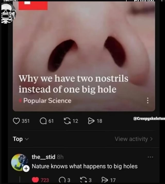 This is a screenshot of a viral social media post showing a close-up of human nostrils, with text asking an innocent science question: 'Why we have two nostrils instead of one big hole', labeled as Popular Science. The top-voted comment below the post makes an unexpected, vulgar suggestive joke: 'Nature knows what happens to big holes', which uses innuendo referencing the anus, the other major large opening in the human body. The original meme is titled 'Bro what💀', conveying shock and amusement at the unexpected dirty punchline.