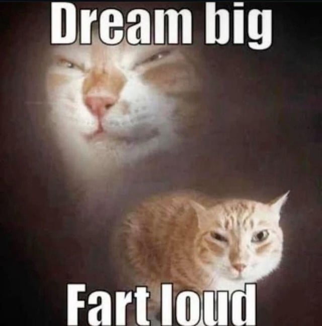 This single-panel static meme features two shots of an orange tabby cat against a dark background. The upper half shows a blurred, glowing close-up of the cat's face with a half-lidded, smug expression, overlaid with large bold white text that reads 'Dream big', evoking typical inspirational messaging. The lower half shows a smaller, clearer shot of the same cat with a matching mischievous, self-satisfied expression, overlaid with matching large bold white text that reads 'Fart loud'. The joke works as an absurd, crude subversion of expected inspirational phrase structure, and ties to the original post context of consuming too much protein leading to gassiness, making the punchline a relatable reference to a common dietary side effect.