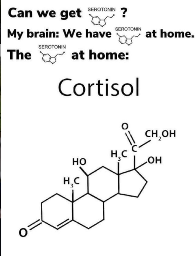 This meme uses the viral "we have [desired item] at home" comedic format to joke about relatable poor mental health experiences. The setup shows a person asking their brain for serotonin, the hormone associated with happiness and calm. The brain responds that it has serotonin at home, and the punchline reveals the "serotonin at home" is actually cortisol, the primary stress hormone, paired with its full chemical structure. The joke highlights the common experience of seeking positive feelings but instead only experiencing stress and anxiety from one's own brain.