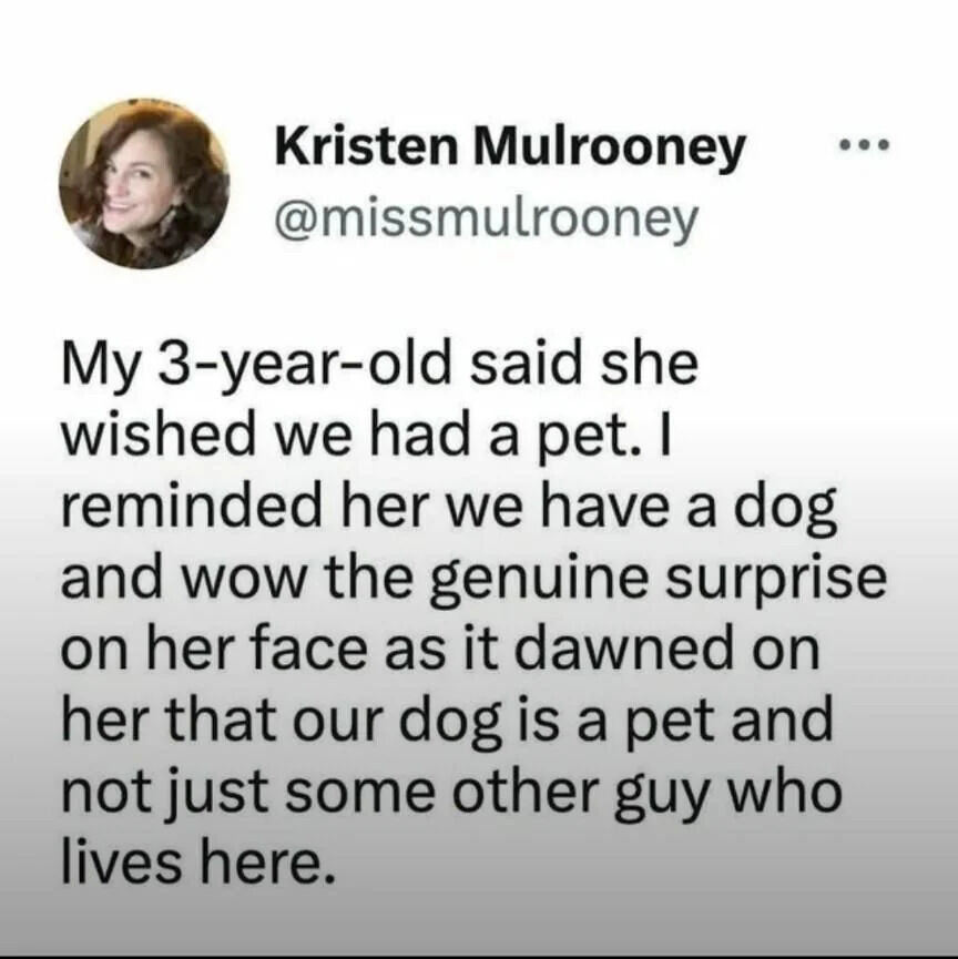 Screenshot of a tweet from Kristen Mulrooney (@missmulrooney) describing a wholesome moment where her 3-year-old child expressed a wish for a pet, forgetting that their family dog is a pet. The parent reminded the child they have a dog, leading to the child's genuine surprise upon realizing the dog is a pet and not 'just some other guy who lives here,' capturing the innocent humor of a young child's perspective.