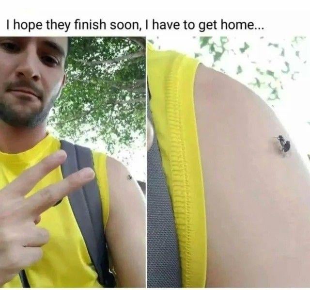 This is a two-panel humorous meme. The left panel shows a man wearing a bright yellow sleeveless shirt with a backpack strap over his shoulder, holding up a peace sign to the camera with a neutral, slightly tired expression, outdoors with tree foliage in the background. A small dark spot (an ant) is visible on his upper arm. The right panel is a close-up zoom of that spot on his arm, revealing two ants that are mating on his skin. The text above both panels reads 'I hope they finish soon, I have to get home...'. The joke stems from the absurd, overly polite choice the man is making: instead of simply brushing the ants off his arm to leave, he is waiting patiently for the ants to finish mating, acting as though interrupting their activity would be rude, even if it delays his own plans to go home.