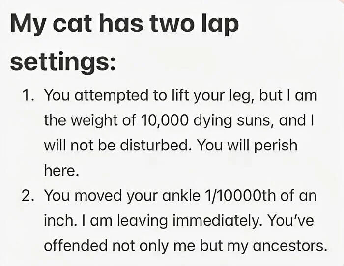 This is a text-only humorous meme that jokes about the contradictory, extremely dramatic behaviors common to domestic cats when they sit on their owner's lap. It lists two opposite lap settings in first-person from the cat's perspective: the first setting describes the cat becoming impossibly heavy, compared to the weight of 10,000 dying suns, and refusing to move if the owner tries to lift their leg, even joking that the owner will perish if they continue trying to move. The second setting describes the cat being so sensitive that even a nearly imperceptible 1/10000th of an inch movement of the owner's ankle makes the cat immediately leave, acting as if the tiny movement deeply offended both the cat and its entire ancestral line. The gag relies on relatable experiences for cat owners who have encountered both of these conflicting behaviors.