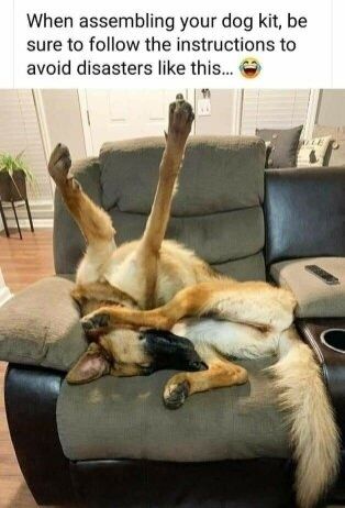 The meme features a candid photo of a German Shepherd dog sleeping upside down on a grey fabric recliner in a home living room. The dog's two front legs are extended straight up in the air, making it look as though it was assembled incorrectly. Text at the top of the image reads, "When assembling your dog kit, be sure to follow the instructions to avoid disasters like this..." accompanied by a laughing face emoji. The background shows parts of the living room, including a potted plant on a small stand, wood flooring, other couch sections, and a TV remote placed on the adjacent part of the seating.