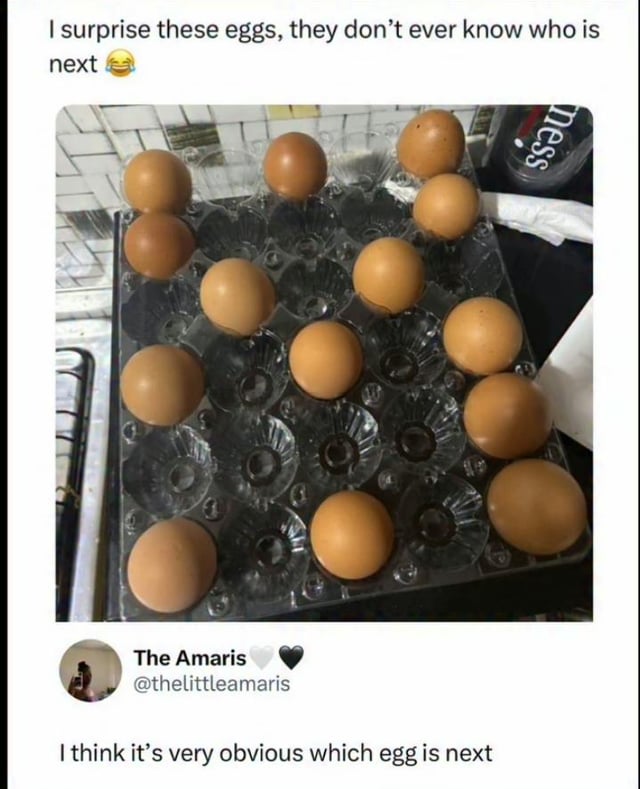 The meme is a screenshot of a Twitter/X interaction. The top post shows a photo of a clear plastic egg carton with brown eggs placed in scattered, non-sequential slots, paired with text that reads 'I surprise these eggs, they don't ever know who is next 😂'. Below this, a reply from user @thelittleamaris (display name The Amaris) states 'I think it's very obvious which egg is next'. The humor comes from mocking the original poster's claim that the egg selection is random, as the pattern of placed eggs makes the next slot to be filled very clear to observers.