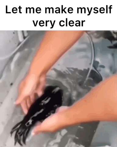 This is a pun meme that uses wordplay on the common English idiom 'make myself very clear'. At the top of the image, text reads 'Let me make myself very clear'. Below the text is a still of a person whose arms are visible, holding and washing a jet black hair extension under running water in a sink. The joke lies in the double meaning of the idiom: while it normally means to state one's position or intentions in an unambiguous, explicit way, the image takes the phrase literally, showing the person making their hair (part of their self presentation) physically clean and clear by washing it.