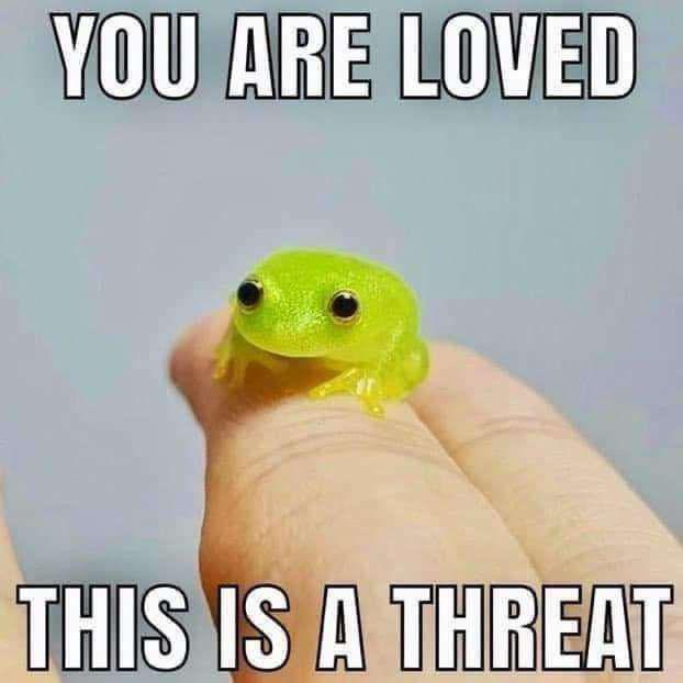 This meme features a tiny, cute bright green transparent glass frog resting on the tip of a human fingertip. Large bold white text with black outlines at the top reads 'YOU ARE LOVED', while matching text at the bottom reads 'THIS IS A THREAT'. The joke comes from the contrast between the wholesome affectionate opening message, the cute harmless frog, and the unexpected threatening closing line, creating an ironic absurdist joke.