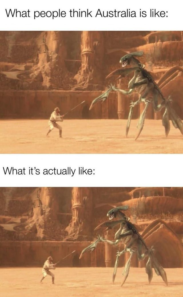This is a two-panel humorous meme utilizing a well-known scene from Star Wars: Episode II – Attack of the Clones, where Obi-Wan Kenobi is confronted by the large, deadly Acklay monster in the Geonosis battle arena. The top panel is captioned 'What people think Australia is like:', referencing the widespread global stereotype that Australia is full of oversized, extremely dangerous wildlife that poses a constant threat to residents. The bottom panel, captioned 'What it's actually like:', uses the exact same unedited scene, making a sarcastic joke that the exaggerated stereotype of Australia being an unreasonably dangerous place full of deadly creatures is entirely accurate.