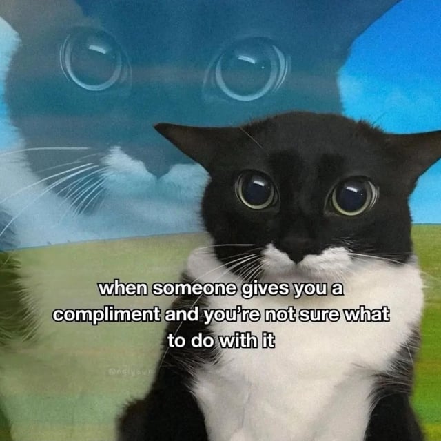 This is a single-panel relatable meme featuring a black and white tuxedo cat with extremely large, wide eyes staring directly at the viewer, looking stunned and awkward. A larger semi-transparent overlay of the same cat's face appears in the background over a simple grass field and blue sky, representing the internal sense of overwhelming panic. The overlaid text reads 'when someone gives you a compliment and you're not sure what to do with it', poking fun at the common experience of social awkwardness when receiving unexpected praise.