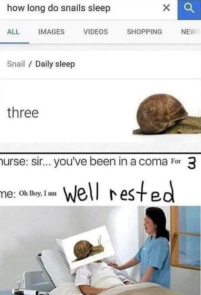 This two-part humorous meme first shows a Google search for the query 'how long do snails sleep', with a result snippet stating snails sleep for 'three' (implied years) next to a photo of a stationary resting snail. The second section cuts to a hospital scene, where a nurse stands beside a patient lying in a hospital bed whose face is edited to be the same snail from the search result. The nurse informs the patient he has been in a coma for 3 years, and the snail-patient responds that he is very well rested. The joke leverages the real zoological fact that snails can hibernate or sleep for up to 3 years, framing the patient's multi-year coma as a normal, refreshing nap for a snail.