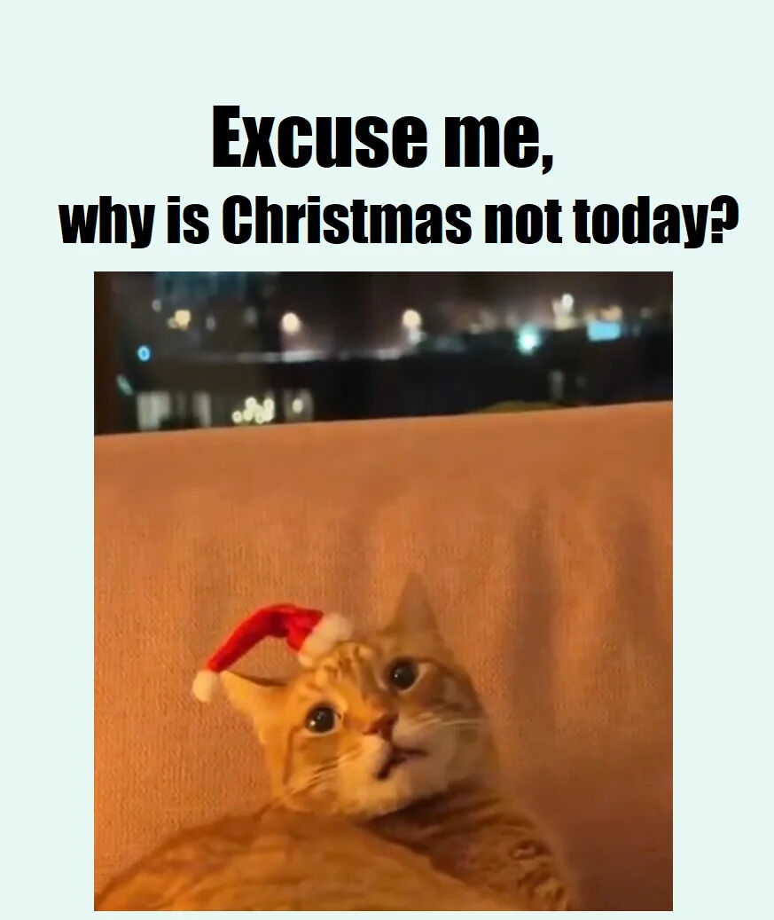 A meme with a light blue background featuring bold black text at the top that reads 'Excuse me, why is Christmas not today?'. Below the text is a photograph of an orange cat wearing a small red Santa hat, lying on a beige surface (likely a couch) and looking up with wide, curious eyes. The background of the photograph is a blurred nighttime cityscape with distant lights, creating a cozy atmosphere. The cat's expression and the festive hat contribute to a wholesome, cute tone, playfully questioning why Christmas isn't happening today.